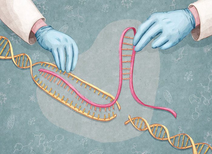 Gene Editing Trials Of Crispr Move From Labs To Clinics