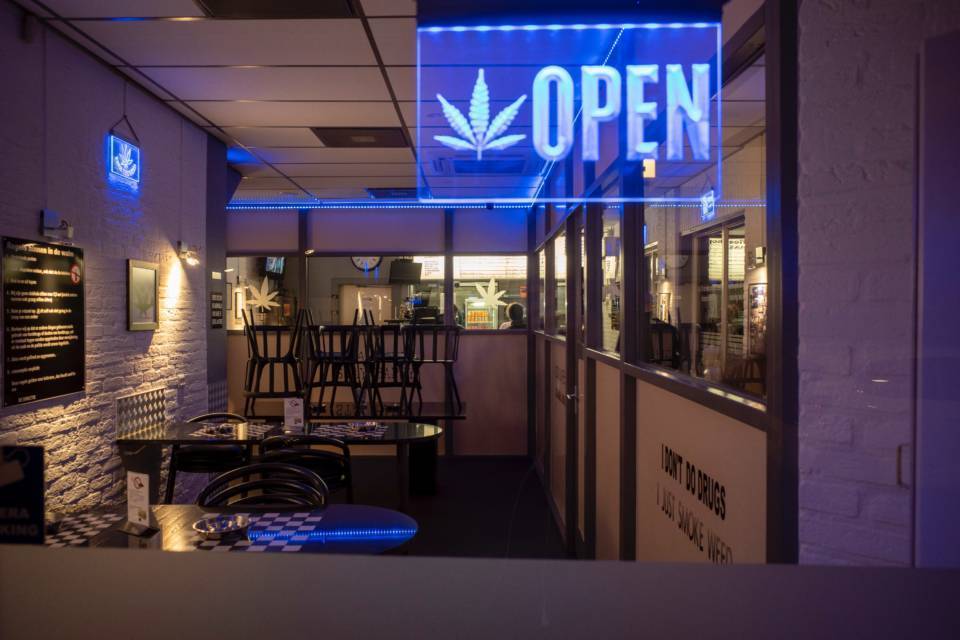 How to Find the Best Michigan Dispensaries Qrius