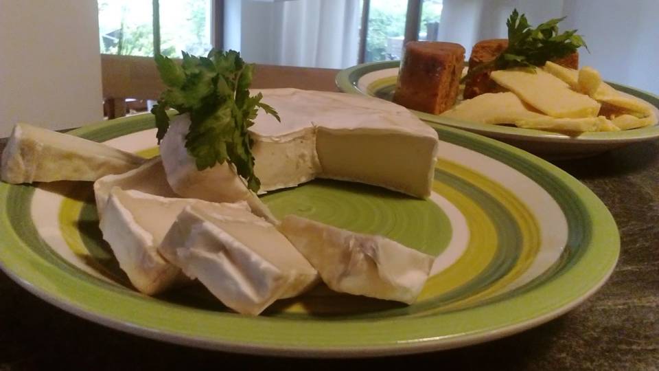 Best Dairy-Free Cheeses