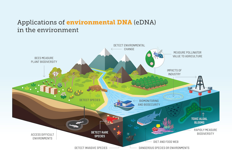 Figure of mountains, seas, rivers showing how environmental DNA sampling can track species