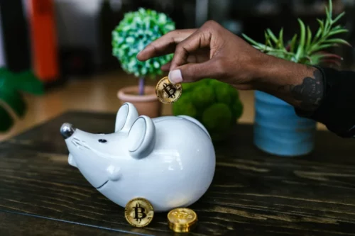 Crypto Investment Made Simple: A Beginner's Guide to Success