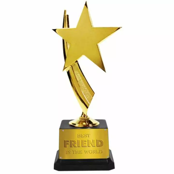 Jhingalala Gift for Friend: Best Friend in The World Printed Golden Award Trophy