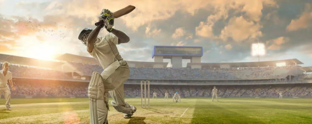 Best Cricket Betting Apps In Bangladesh